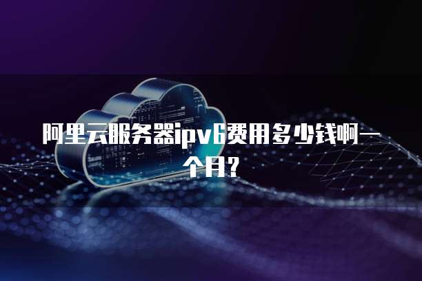 阿里云服务器ipv6费用多少钱啊一个月?
