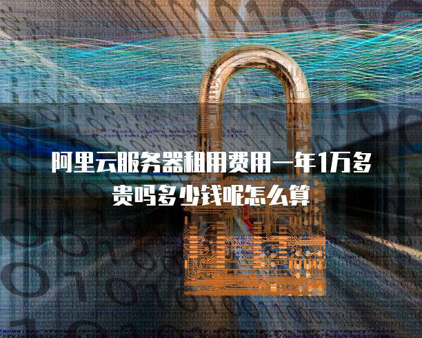 阿里云服务器租用费用一年1万多贵吗多少钱呢怎么算