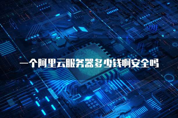 一个阿里云服务器多少钱啊安全吗