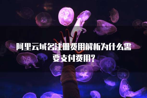 阿里云域名注册费用解析为什么需要支付费用?