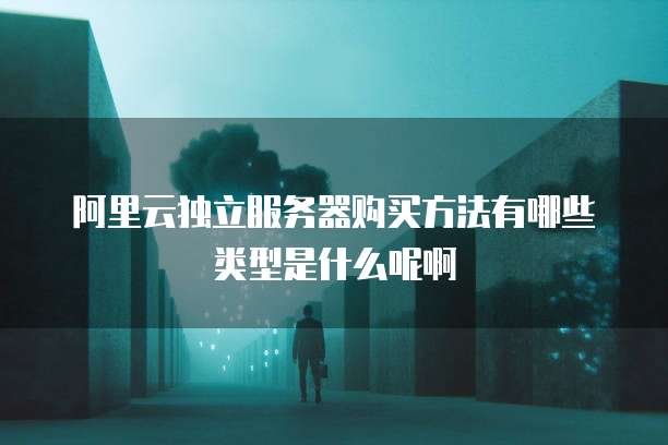 阿里云独立服务器购买方法有哪些类型是什么呢啊