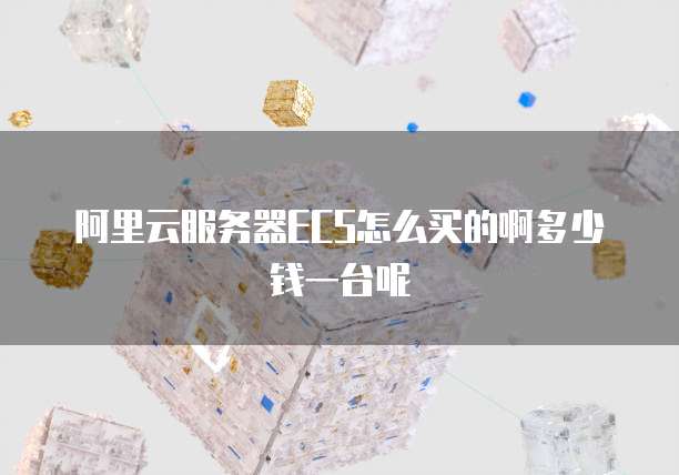 阿里云服务器ECS怎么买的啊多少钱一台呢
