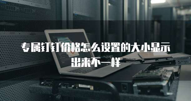 专属钉钉价格怎么设置的大小显示出来不一样