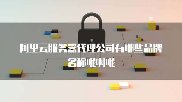 阿里云服务器代理公司有哪些品牌名称呢啊呢
