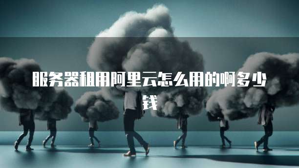 服务器租用阿里云怎么用的啊多少钱