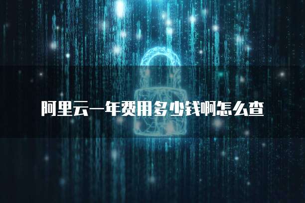 阿里云一年费用多少钱啊怎么查
