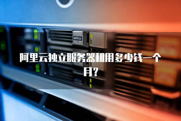 阿里云独立服务器租用多少钱一个月?