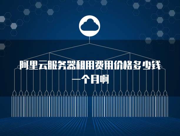 阿里云服务器租用费用价格多少钱一个月啊