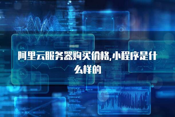 阿里云服务器购买价格,小程序是什么样的