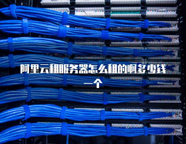 阿里云租服务器怎么租的啊多少钱一个