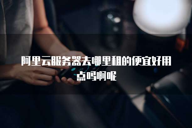 阿里云服务器去哪里租的便宜好用点吗啊呢