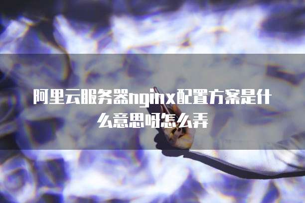 阿里云服务器nginx配置方案是什么意思呀怎么弄