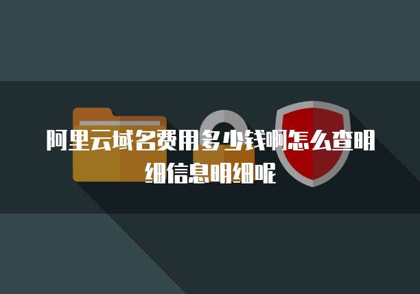 阿里云域名费用多少钱啊怎么查明细信息明细呢