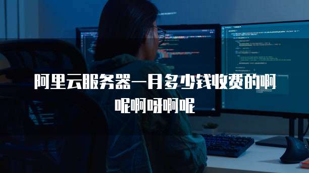 阿里云服务器一月多少钱收费的啊呢啊呀啊呢