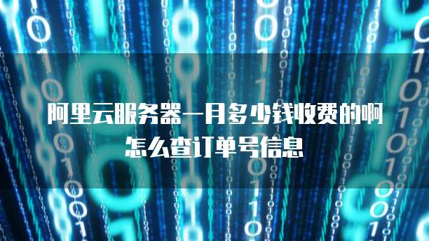 阿里云服务器一月多少钱收费的啊怎么查订单号信息