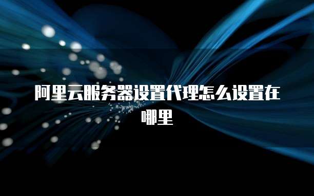 阿里云服务器设置代理怎么设置在哪里