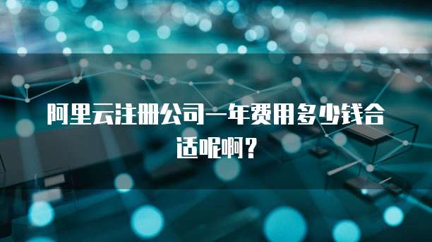 阿里云注册公司一年费用多少钱合适呢啊?