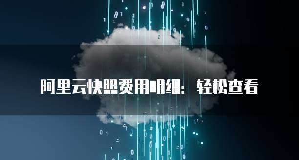 阿里云快照费用明细:轻松查看