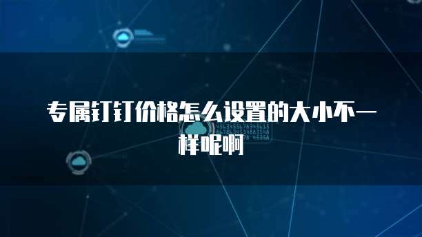 专属钉钉价格怎么设置的大小不一样呢啊
