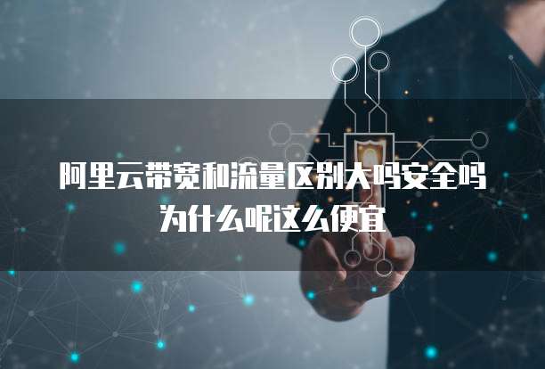 阿里云带宽和流量区别大吗安全吗为什么呢这么便宜