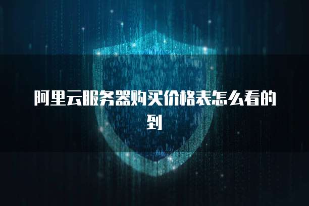 阿里云服务器购买价格表怎么看的到
