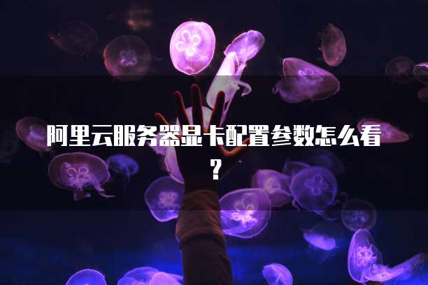 阿里云服务器显卡配置参数怎么看？
