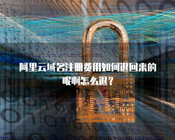阿里云域名注册费用如何退回来的呢啊怎么退?