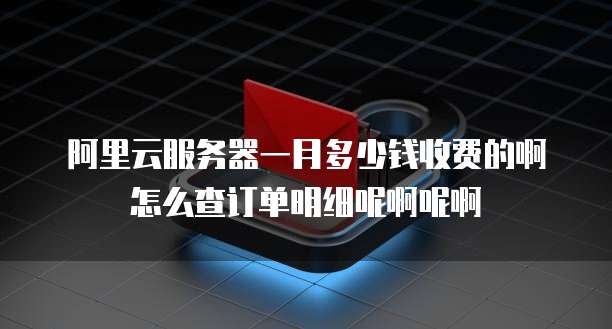 阿里云服务器一月多少钱收费的啊怎么查订单明细呢啊呢啊
