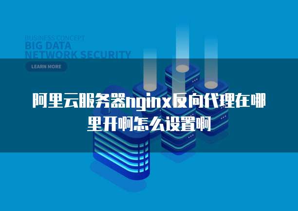 阿里云服务器nginx反向代理在哪里开啊怎么设置啊
