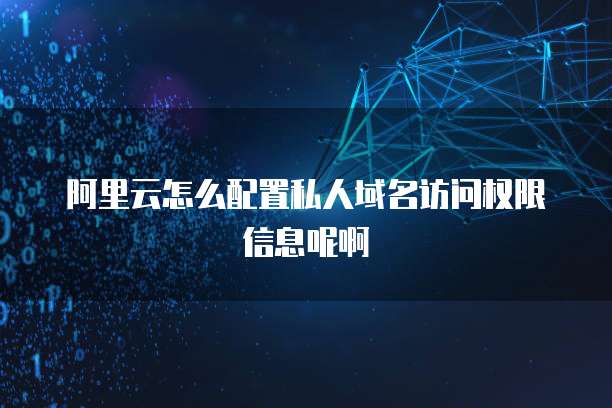 阿里云怎么配置私人域名访问权限信息呢啊