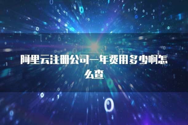 阿里云注册公司一年费用多少啊怎么查