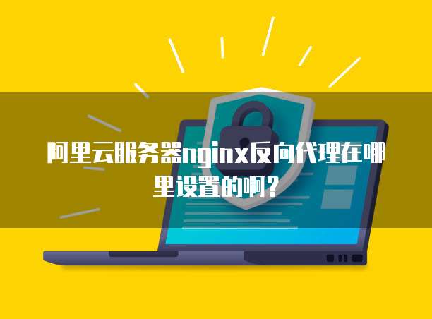 阿里云服务器nginx反向代理在哪里设置的啊?