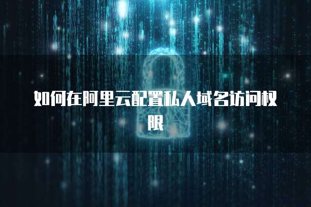 如何在阿里云配置私人域名访问权限