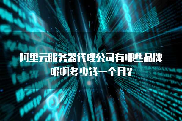 阿里云服务器代理公司有哪些品牌呢啊多少钱一个月?