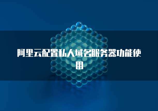 阿里云配置私人域名服务器功能使用