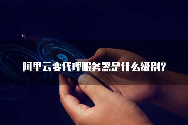 阿里云变代理服务器是什么级别?