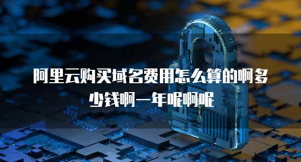 阿里云购买域名费用怎么算的啊多少钱啊一年呢啊呢