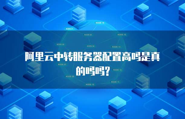 阿里云中转服务器配置高吗是真的吗吗?
