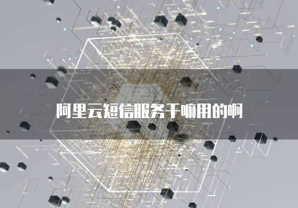 阿里云短信服务干嘛用的啊
