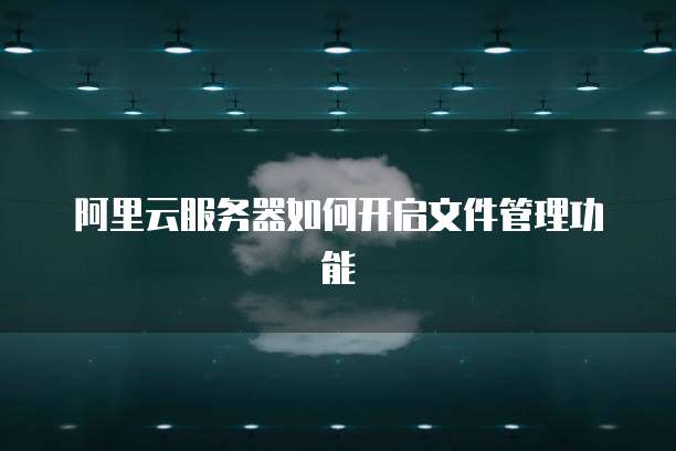 阿里云服务器如何开启文件管理功能