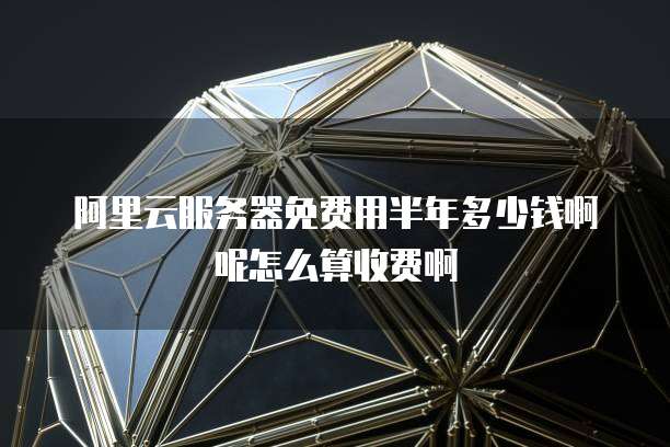 阿里云服务器免费用半年多少钱啊呢怎么算收费啊