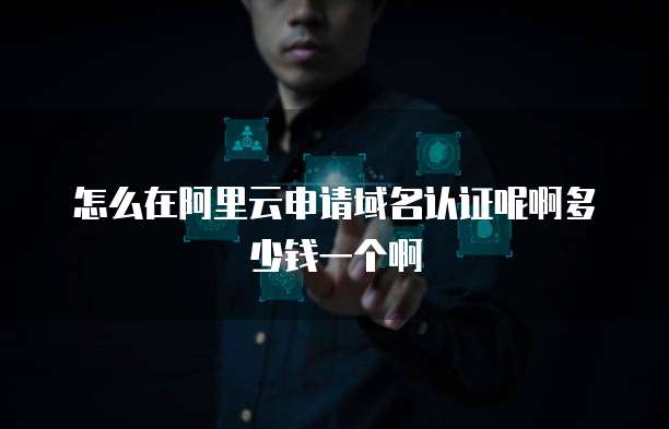 怎么在阿里云申请域名认证呢啊多少钱一个啊
