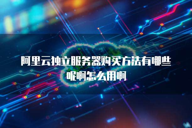 阿里云独立服务器购买方法有哪些呢啊怎么用啊