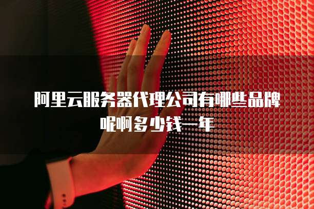 阿里云服务器代理公司有哪些品牌呢啊多少钱一年