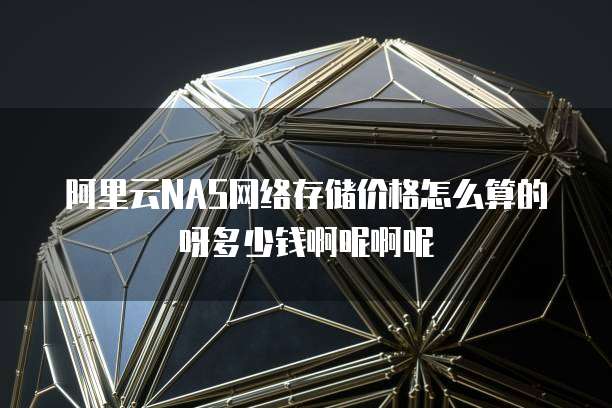 阿里云NAS网络存储价格怎么算的呀多少钱啊呢啊呢