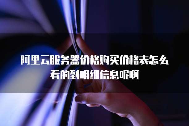 阿里云服务器价格购买价格表怎么看的到明细信息呢啊