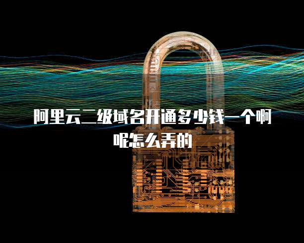 阿里云二级域名开通多少钱一个啊呢怎么弄的