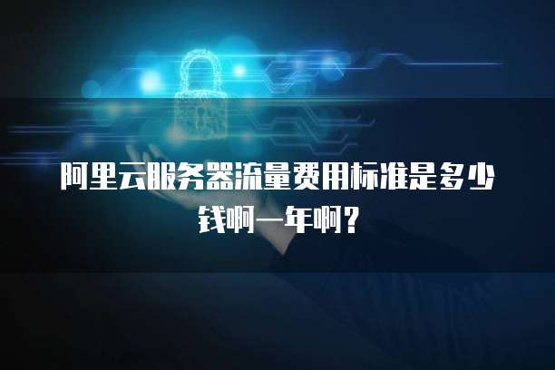 阿里云服务器流量费用标准是多少钱啊一年啊?