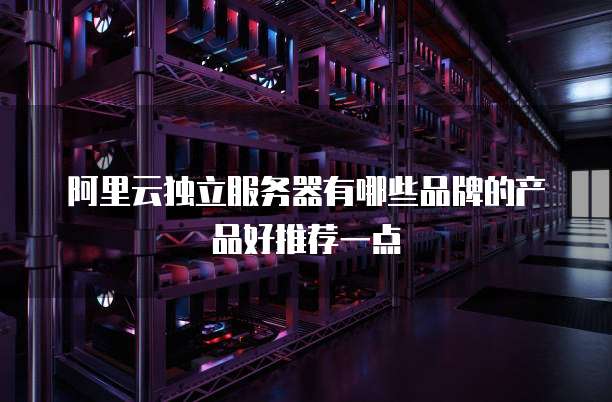 阿里云独立服务器有哪些品牌的产品好推荐一点