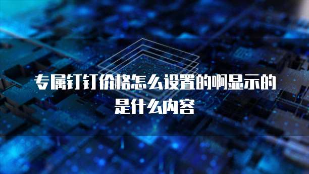 专属钉钉价格怎么设置的啊显示的是什么内容